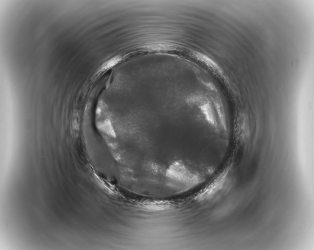 X0000084520833200703161546