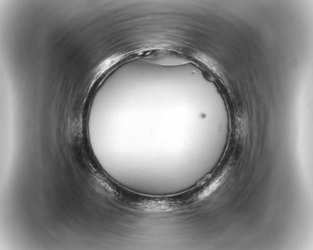 X0000084520834200703161546