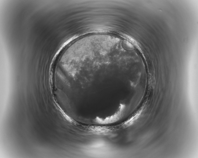 X0000084520835200703161546