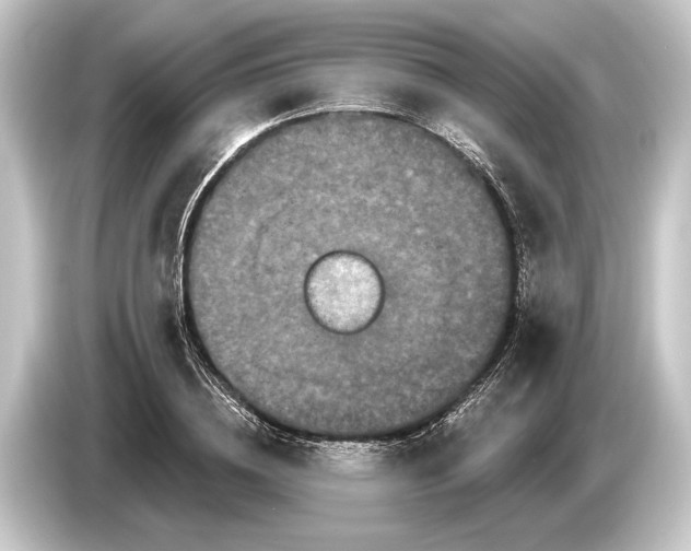 X0000084520836200703161546