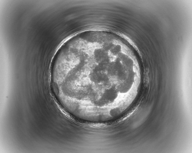 X0000084520837200703161546