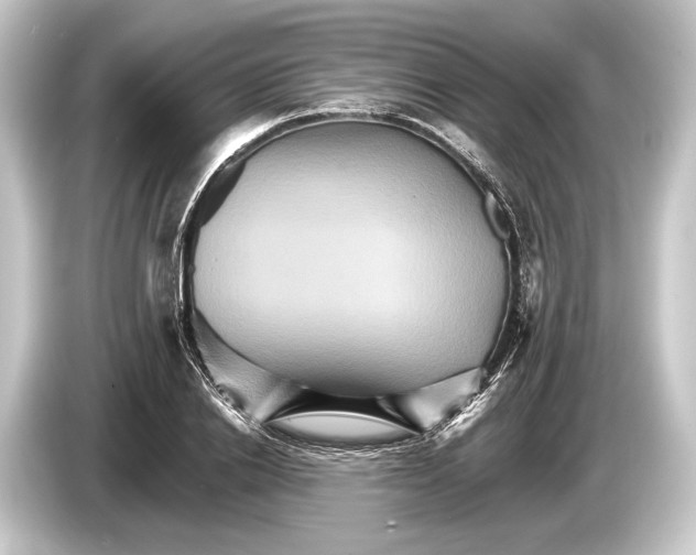 X0000084520838200703161546