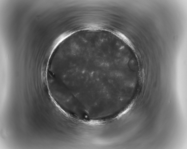 X0000084520839200703161546