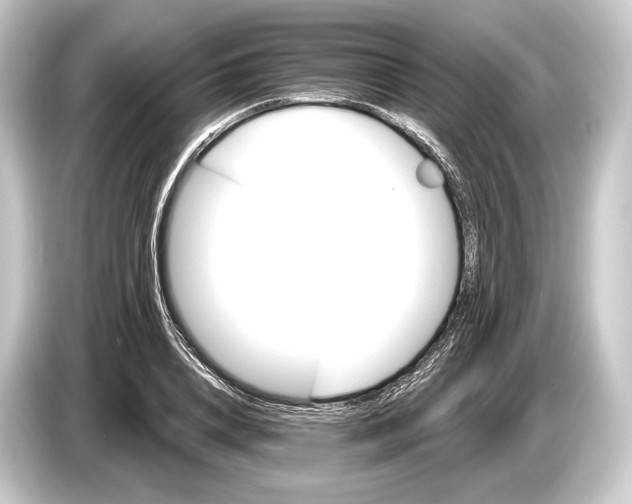 X0000084520840200703161546