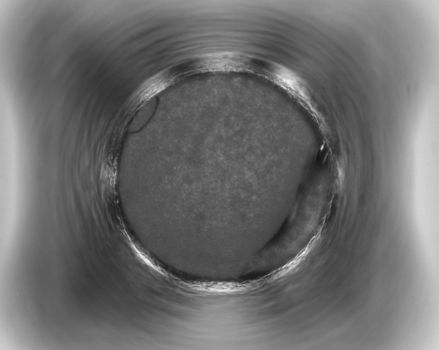 X0000084520841200703161546