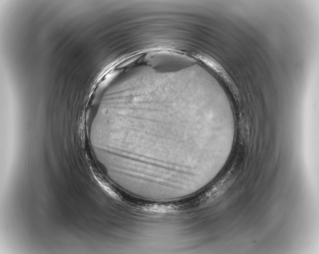 X0000084520842200703161546