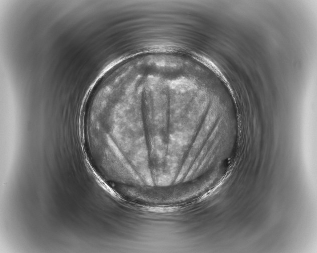 X0000084520843200703161546