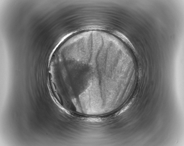 X0000084520844200703161546