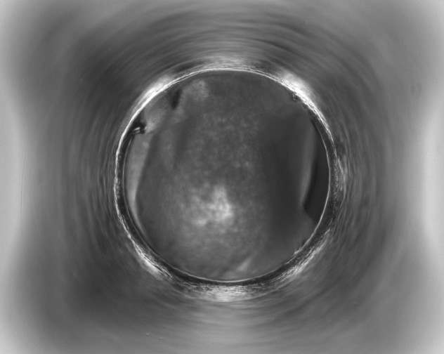 X0000084520845200703161546