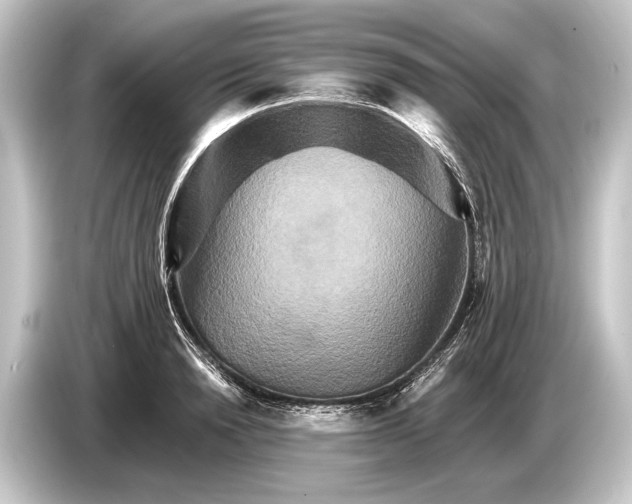 X0000084520846200703161546