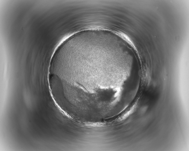 X0000084520847200703161546