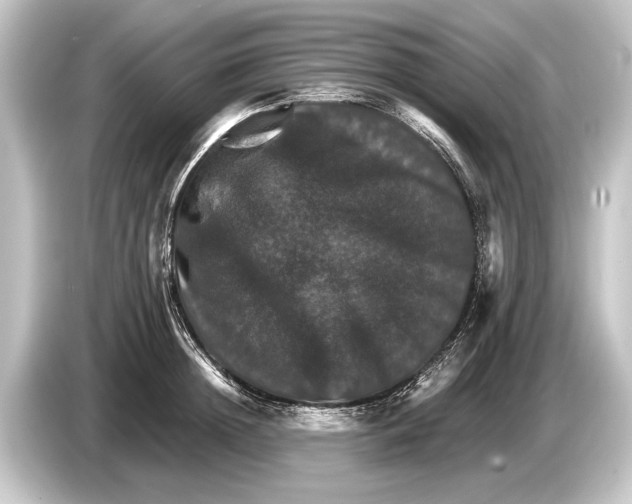 X0000084520852200703161546