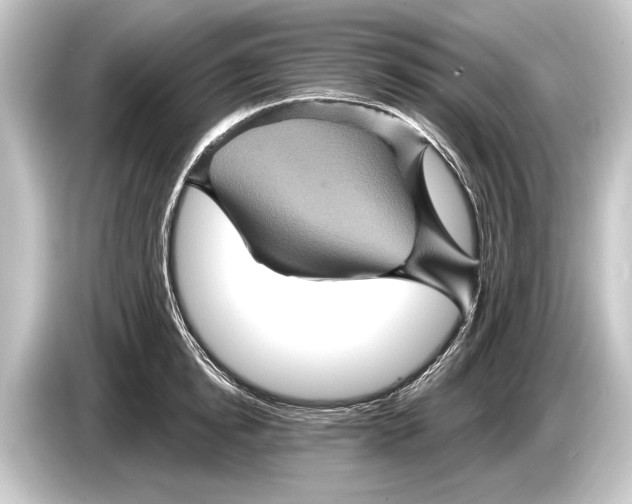 X0000084520854200703161546