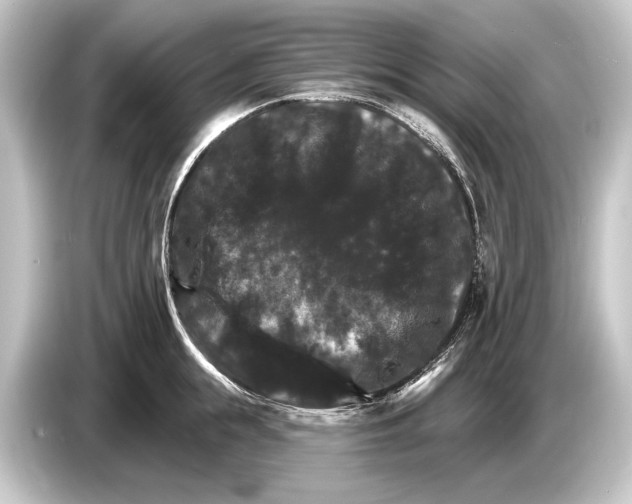 X0000084520855200703161546