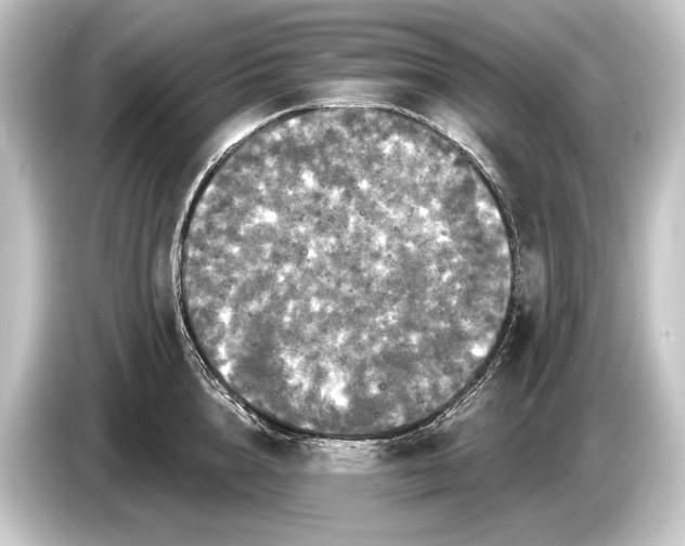 X0000084520856200703161546