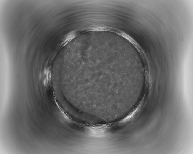 X0000084520857200703161546