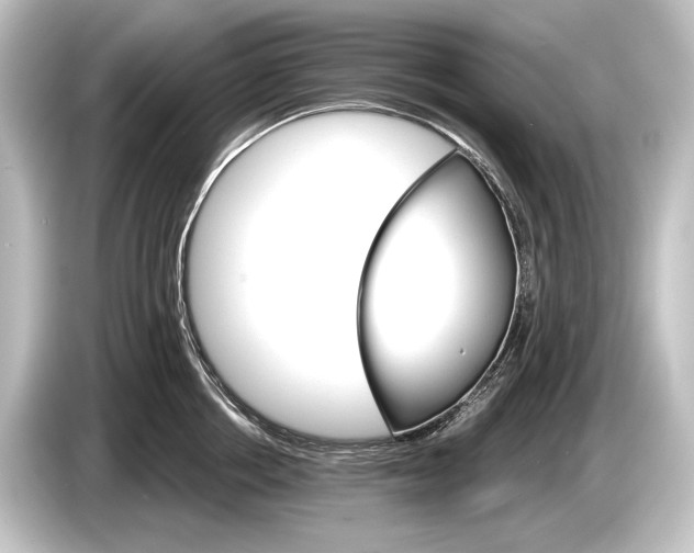 X0000084520858200703161546