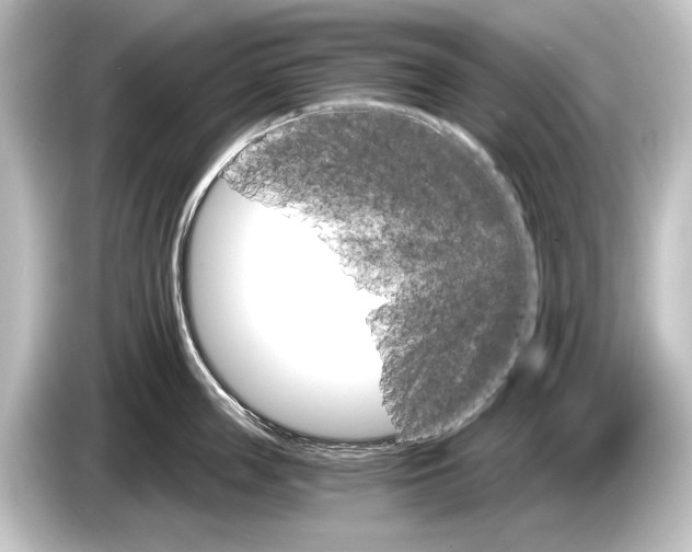 X0000084520859200703161546