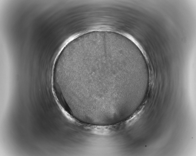 X0000084520861200703161546