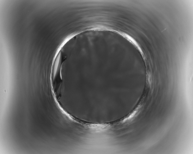 X0000084520863200703161546