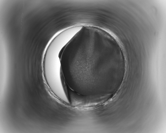 X0000084520864200703161546