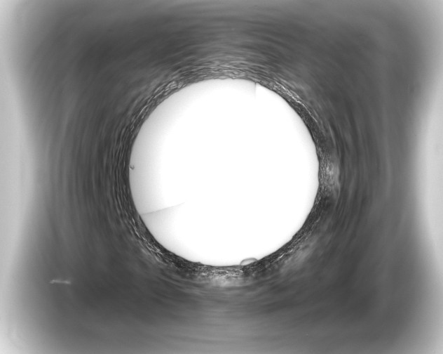 X0000084520865200703161546