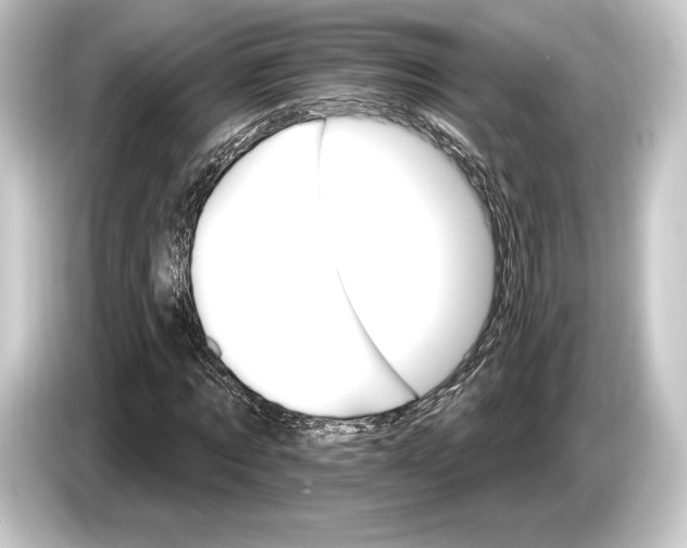 X0000084520869200703161546