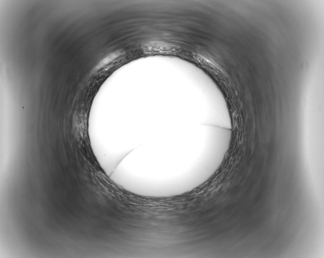 X0000084520870200703161546