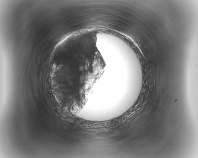 X0000084520871200703161546