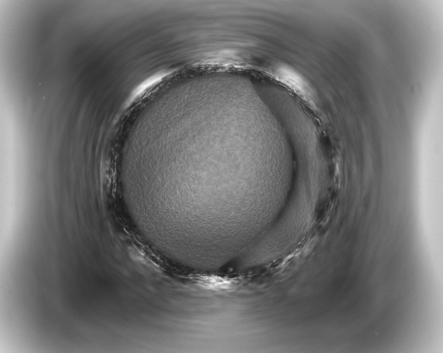 X0000084520872200703161546