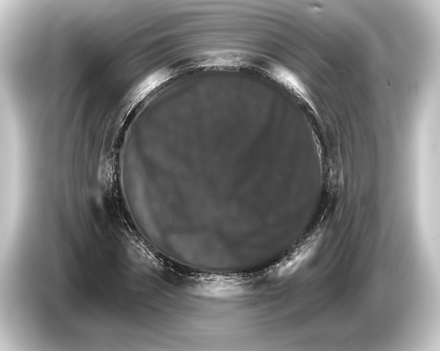 X0000084520874200703161546