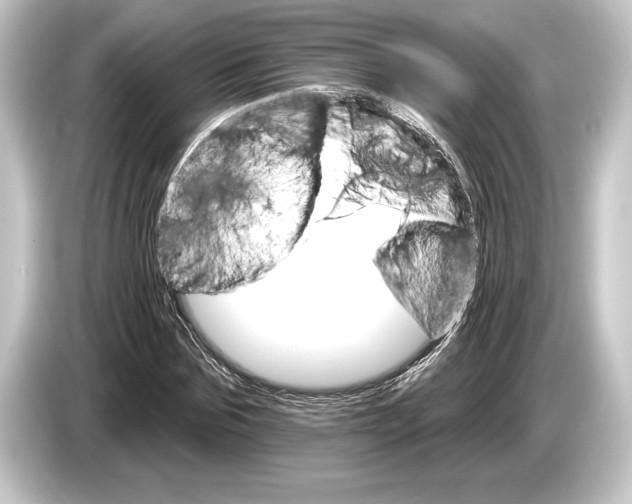 X0000084520875200703161546