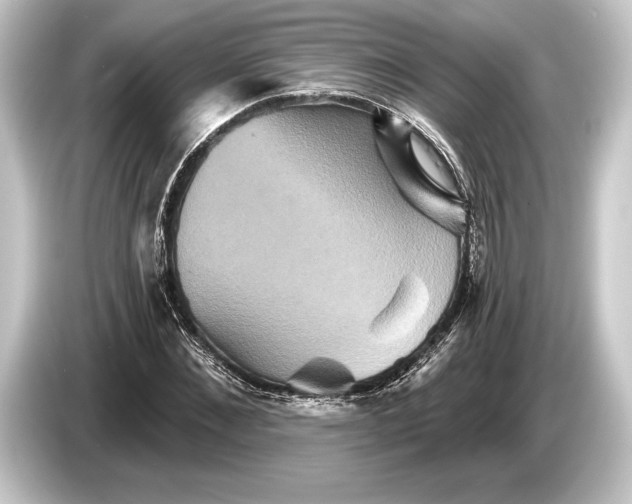 X0000084520876200703161546