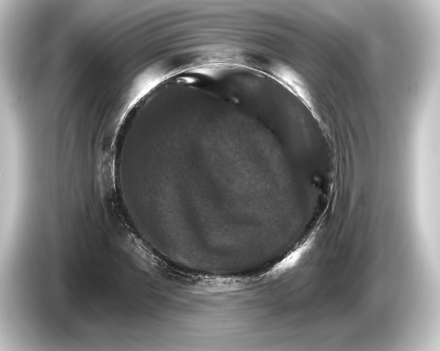 X0000084520877200703161546