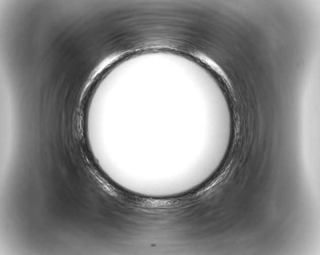 X0000084520878200703161546