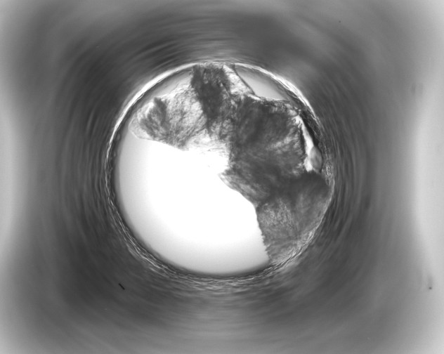 X0000084520879200703161546