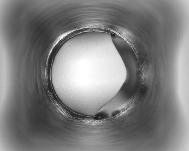 X0000084520880200703161546