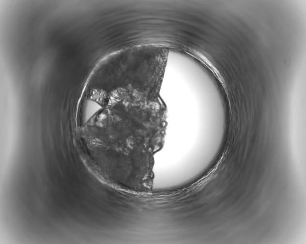 X0000084520883200703161545