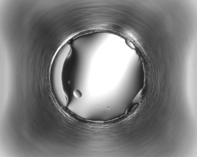 X0000084520884200703161545