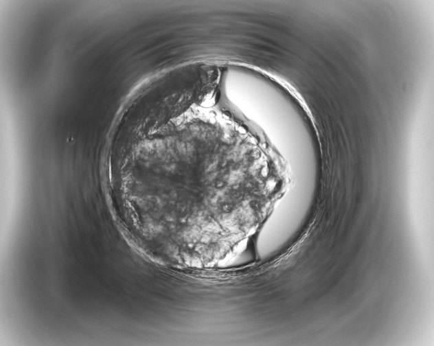 X0000084520887200703161545