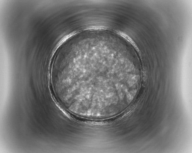 X0000084520890200703161545