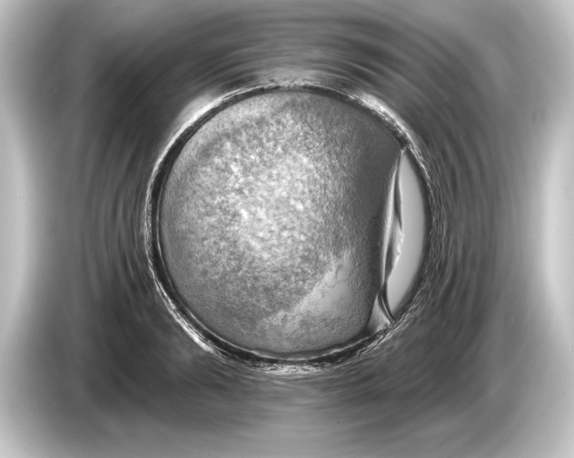 X0000084520894200703161545