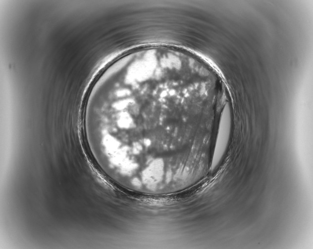 X0000084520895200703161545