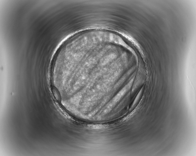 X0000084520896200703161545