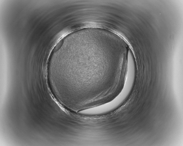 X0000084520898200703161545