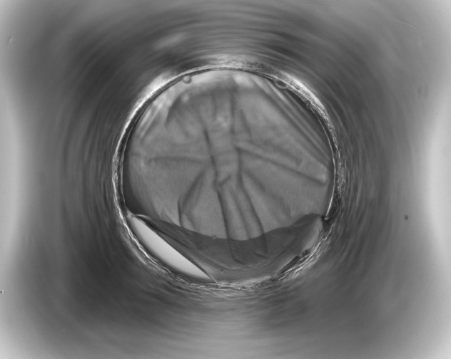 X0000084520899200703161545