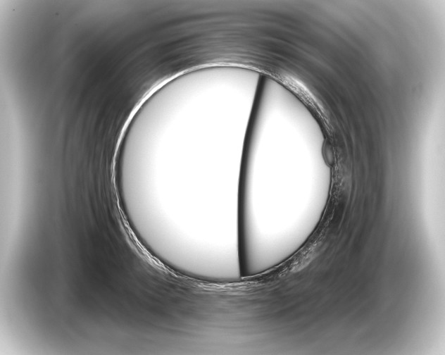 X0000084520900200703161545