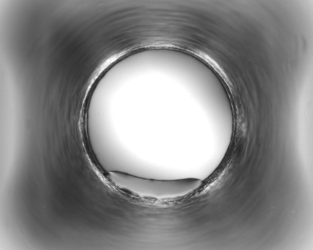 X0000084520901200703161545