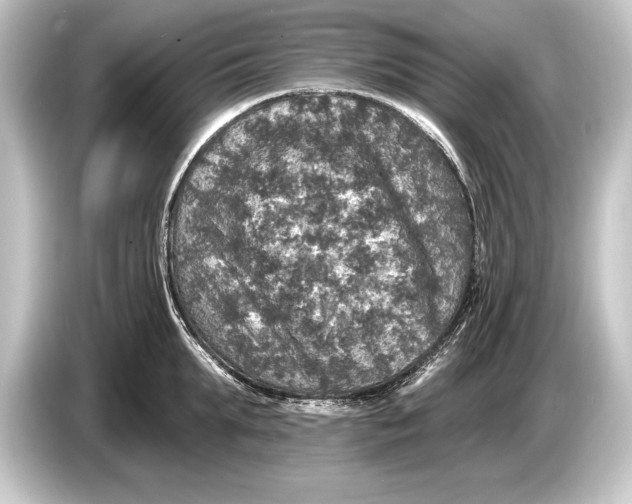 X0000084520903200703161545