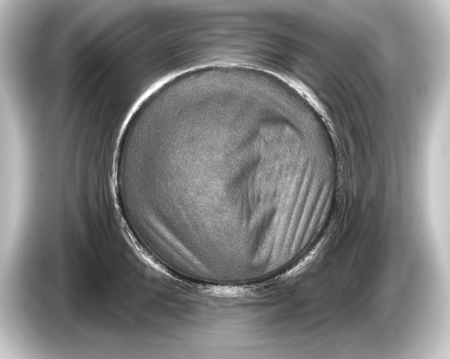 X0000084520904200703161545